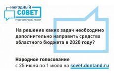 Голосование по губернаторскому проекту «Народный совет»