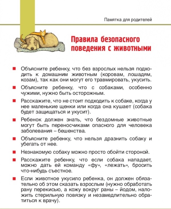 УСЗН Неклиновского района предлагает Вашему вниманию памятку по вопросу безопасного поведения с животными, в том числе с бездомными собаками.
